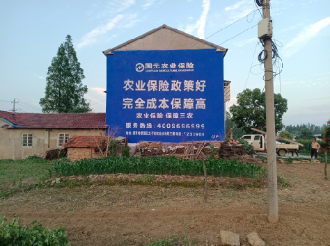 津市墙体广告的优劣势你知道吗？