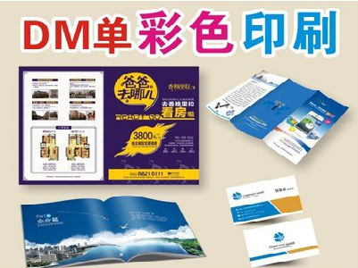 津市单页印刷，色彩搭配简单。